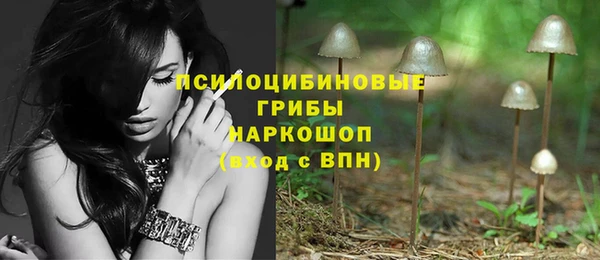 apvp Балабаново