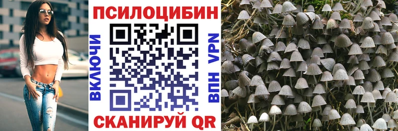 Галлюциногенные грибы Psilocybine cubensis  купить наркоту  Пласт 